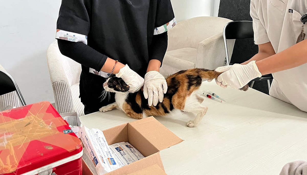 Bangsawan Zoonosis Bandung