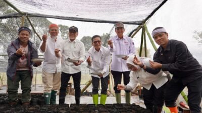 Revitalisasi 15 Ribu Hektare Lahan Kritis Lewat Kakao dan Kelapa