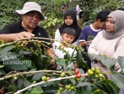Jamkrindo Dukung UMKM Naik Kelas