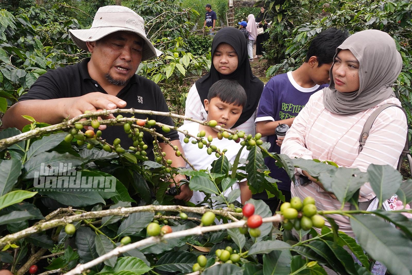 Bareto Coffee di Pangalengan, Kabupaten Bandung, Jawa Barat, Sabtu (7/2/2026).