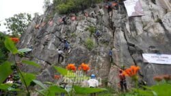 Aksi Keren Puluhan Siswa Sekolah Alam Bandung Panjat Tebing Hawu