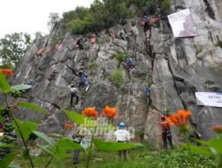 Aksi Keren Puluhan Siswa Sekolah Alam Bandung Panjat Tebing Hawu