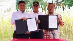 PTDI dan Umuh Muchtar Jalin Kerja Sama Budidaya Sorgum di Sumedang